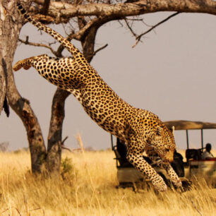 AKAGERA NATIONAL PARK