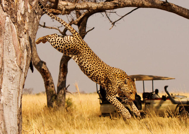 AKAGERA NATIONAL PARK