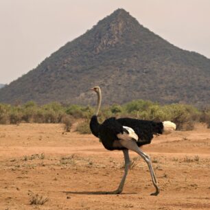 NGORONGORO CONSERVATION AREA