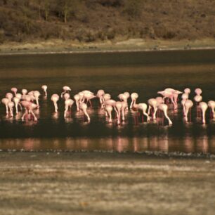 LAKE NAKURU NATIONAL PARK