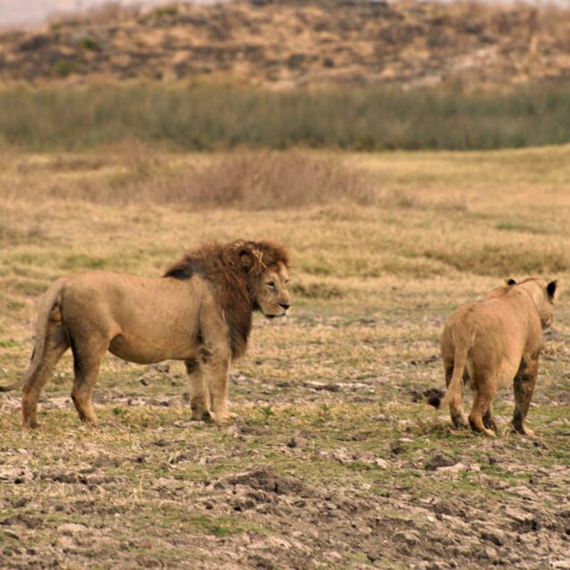 TSAVO WEST NATIONAL PARK