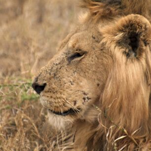 QUEEN ELIZABETH NATIONAL PARK