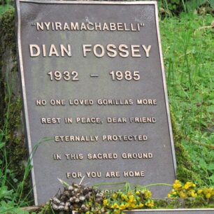 DIAN FOSSEY GRAVE