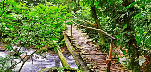 COFFEE TOURISM IN UGANDA