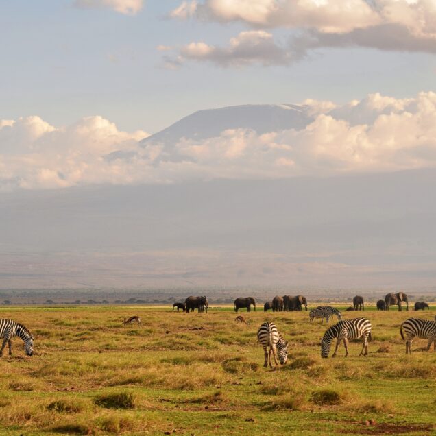 Amboseli National Park