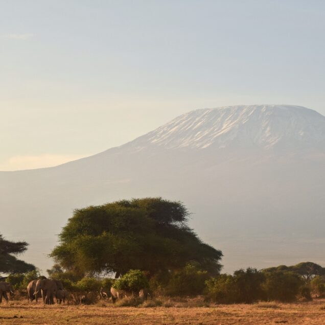 AMBOSELI NATIONAL PARK