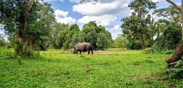 LAKE MBURO NATIONAL PARK